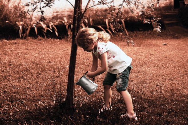 Little girl watering a young tree